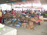 Photo of market