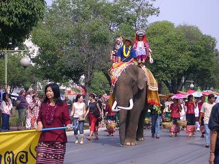 Photo of flower parade